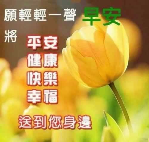 取款身份审核大家怎么办（图）