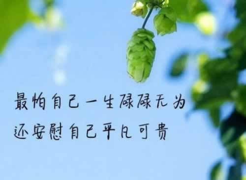 财务维护提款 解决方案（图）