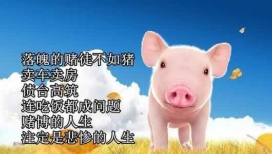 网上营前不能提款该 处理方案（图）